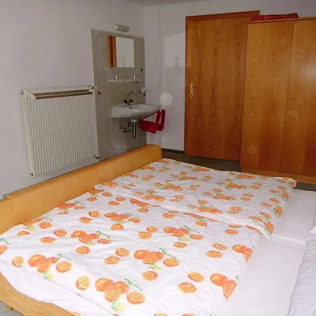 招待所 斯潘旅馆 *